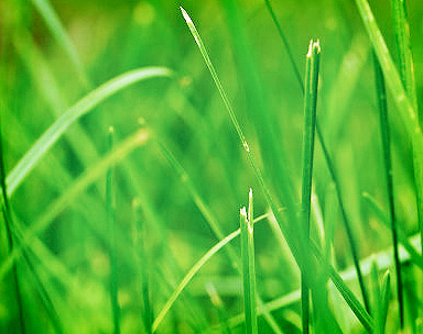 DDOS压力测试网页端